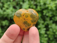 Polished Ocean Jasper Hearts x 12 From Northwest Coast, Madagascar