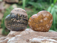 Polished Ocean Jasper Hearts x 12 From Northwest Coast, Madagascar