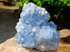 Natural Blue Celestite Specimens x 2 From Sakoany, Madagascar