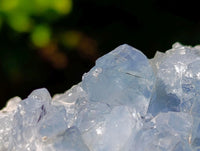 Natural Blue Celestite Specimens x 2 From Sakoany, Madagascar