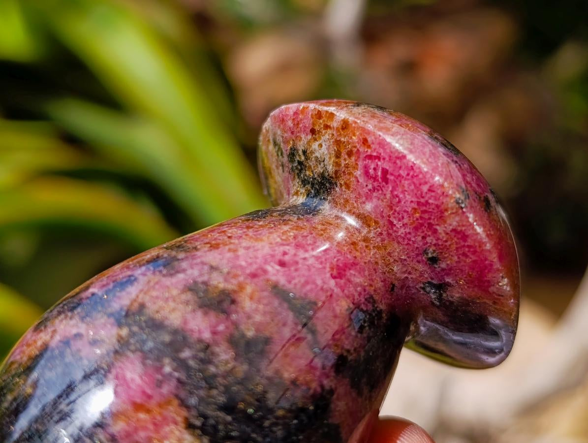Polished Rhodonite Mushrooms x 6 From Ambindavato, Madagascar