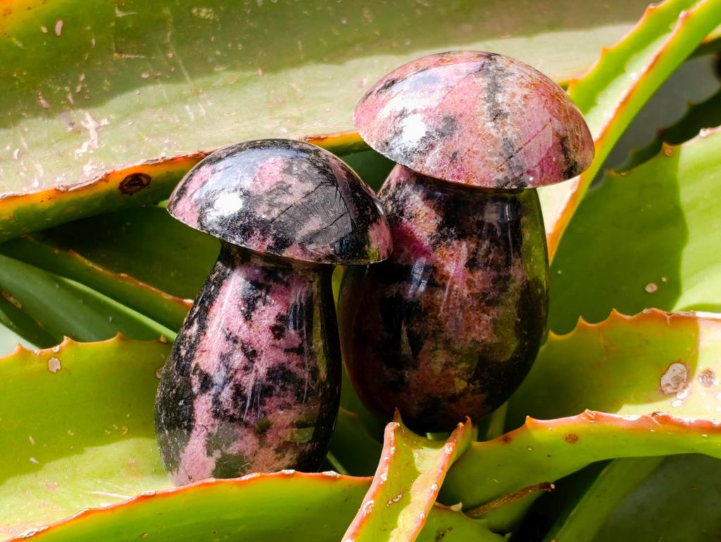 Polished Rhodonite Mushrooms x 6 From Ambindavato, Madagascar - Toprock Gemstones and Minerals 