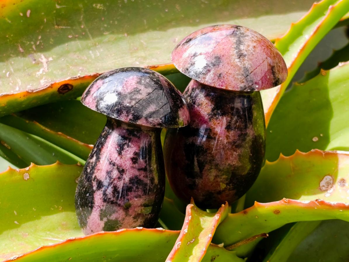 Polished Rhodonite Mushrooms x 6 From Ambindavato, Madagascar