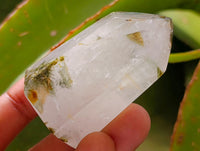 Polished Mixed Inclusions Quartz Crystals x 12 From Madagascar