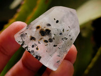 Polished Mixed Inclusions Quartz Crystals x 12 From Madagascar