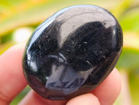 Polished Black Tourmaline Galets x 70 From Madagascar