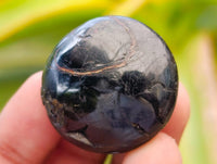 Polished Black Tourmaline Galets x 70 From Madagascar