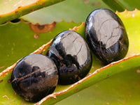 Polished Black Tourmaline Galets x 70 From Madagascar