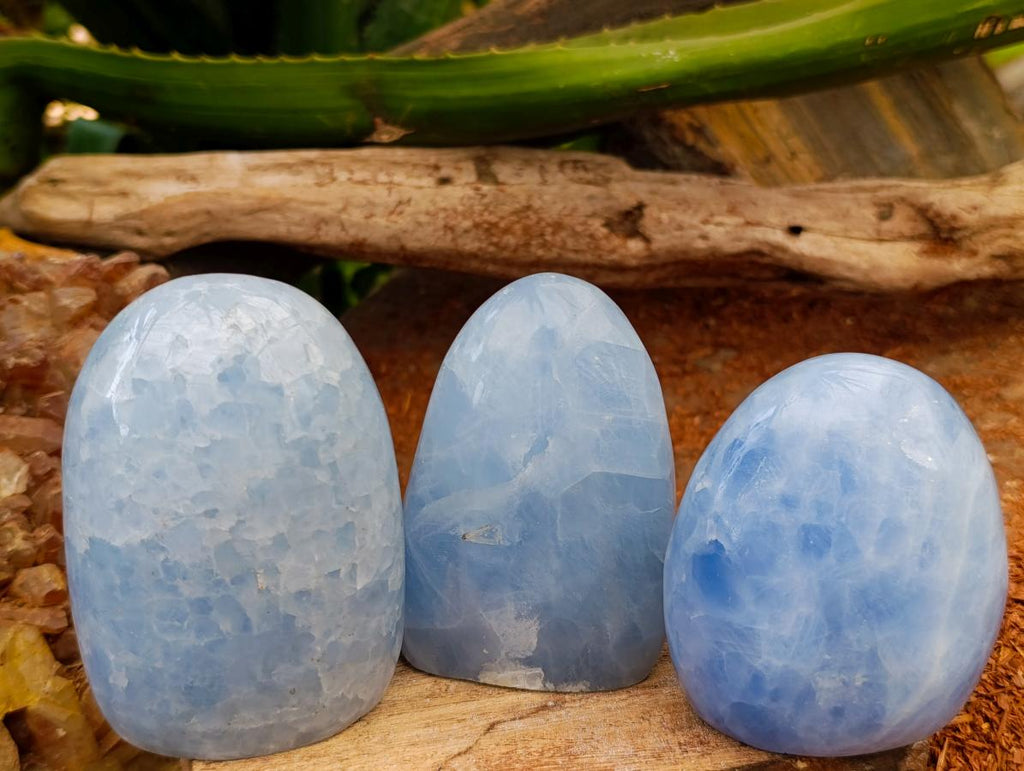 Polished Blue Calcite Standing Free Forms x 6 From Madagascar