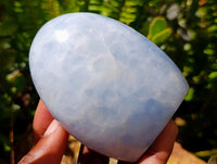 Polished Blue Calcite Standing Free Forms x 6 From Madagascar