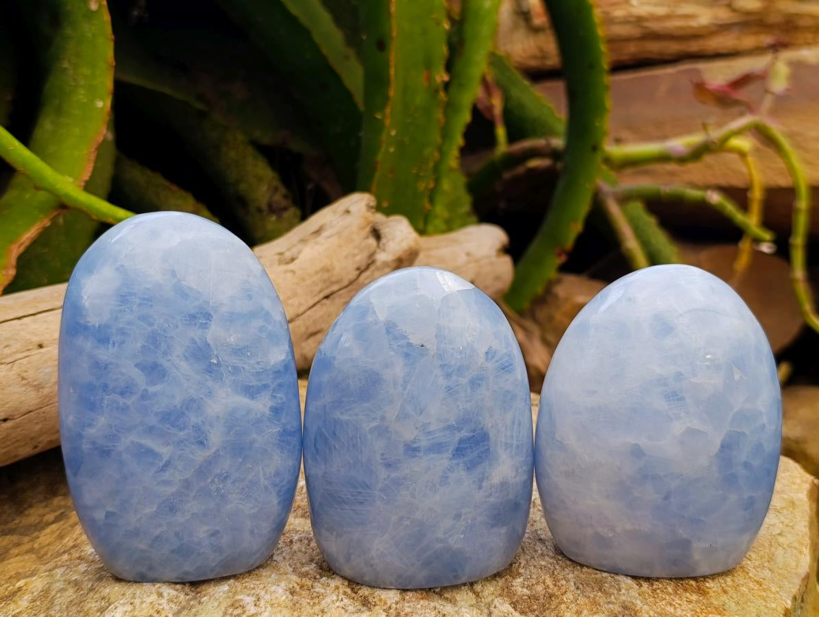 Polished Blue Calcite Standing Free Forms x 6 From Madagascar
