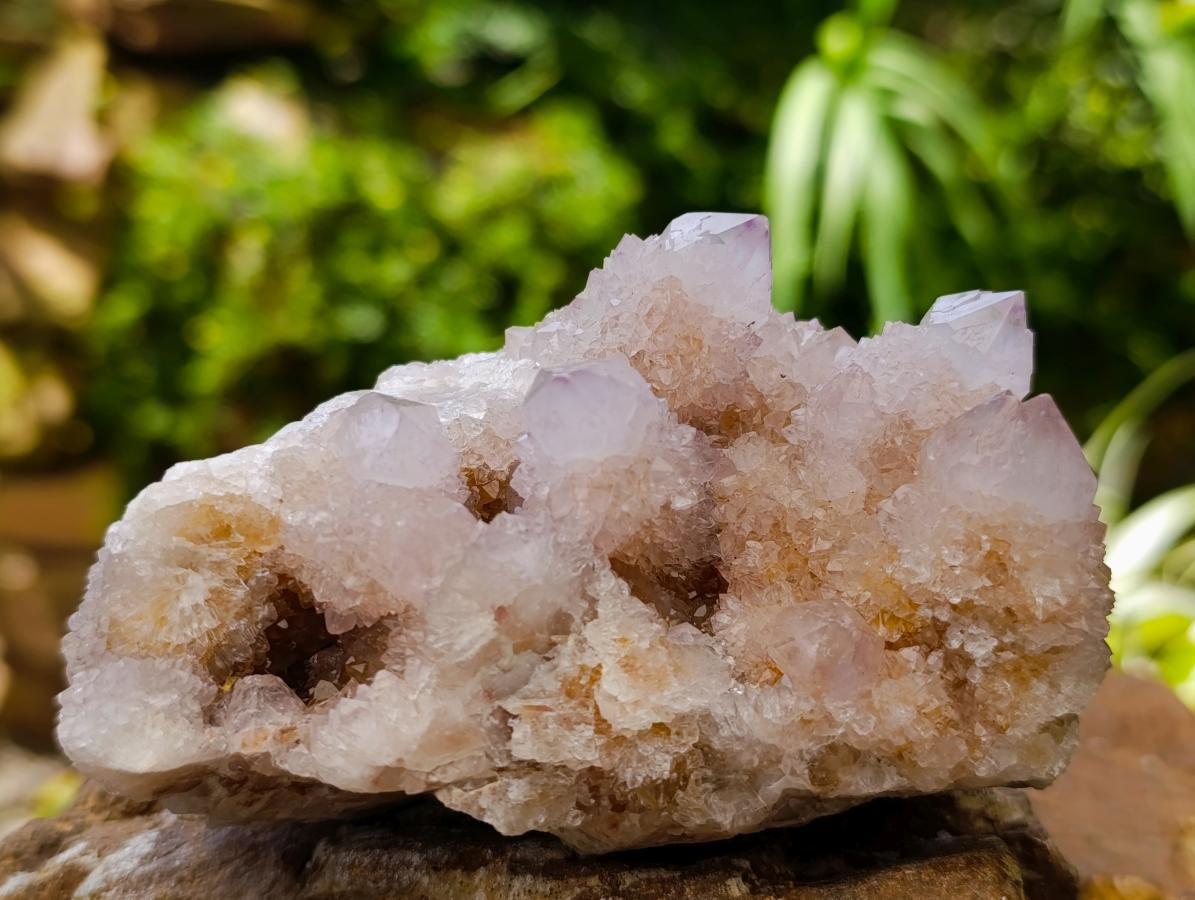 Natural Lilac Amethyst Spirit Clusters x 4 From Boekenhouthoek, South Africa