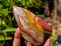Polished Polychrome Jasper Flames x 6 From NW Coast, Madagascar