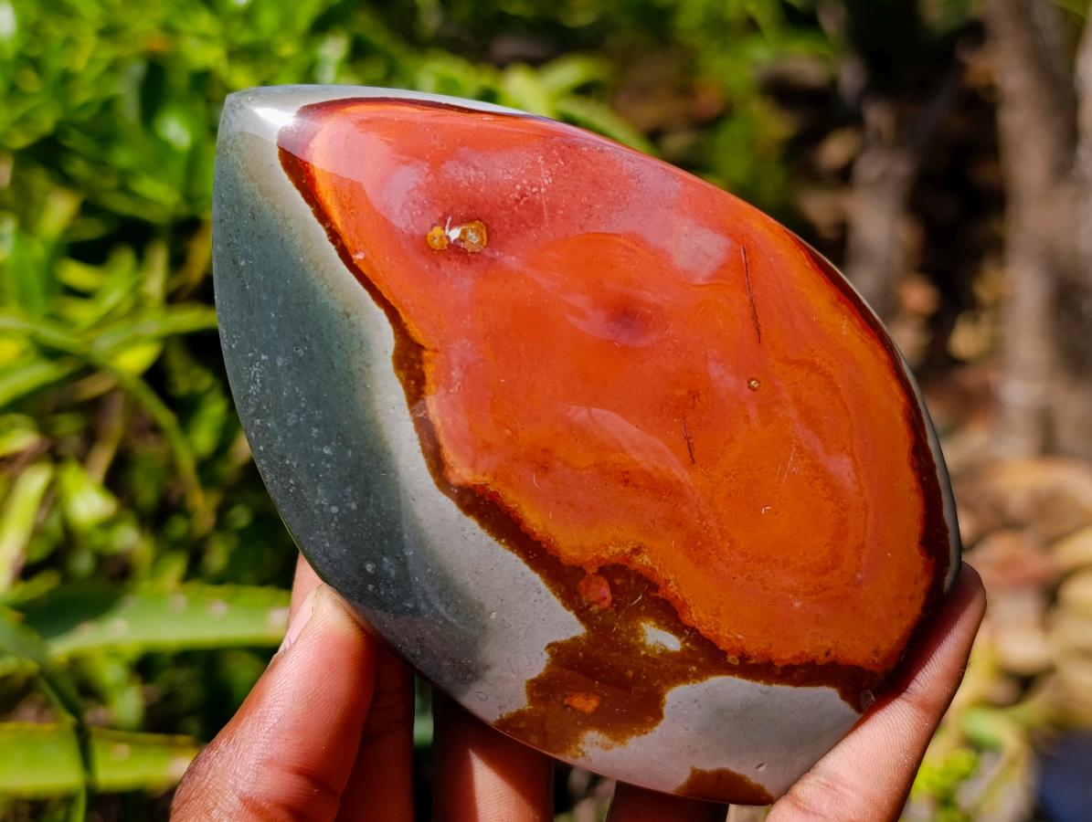 Polished Polychrome Jasper Flames x 6 From NW Coast, Madagascar