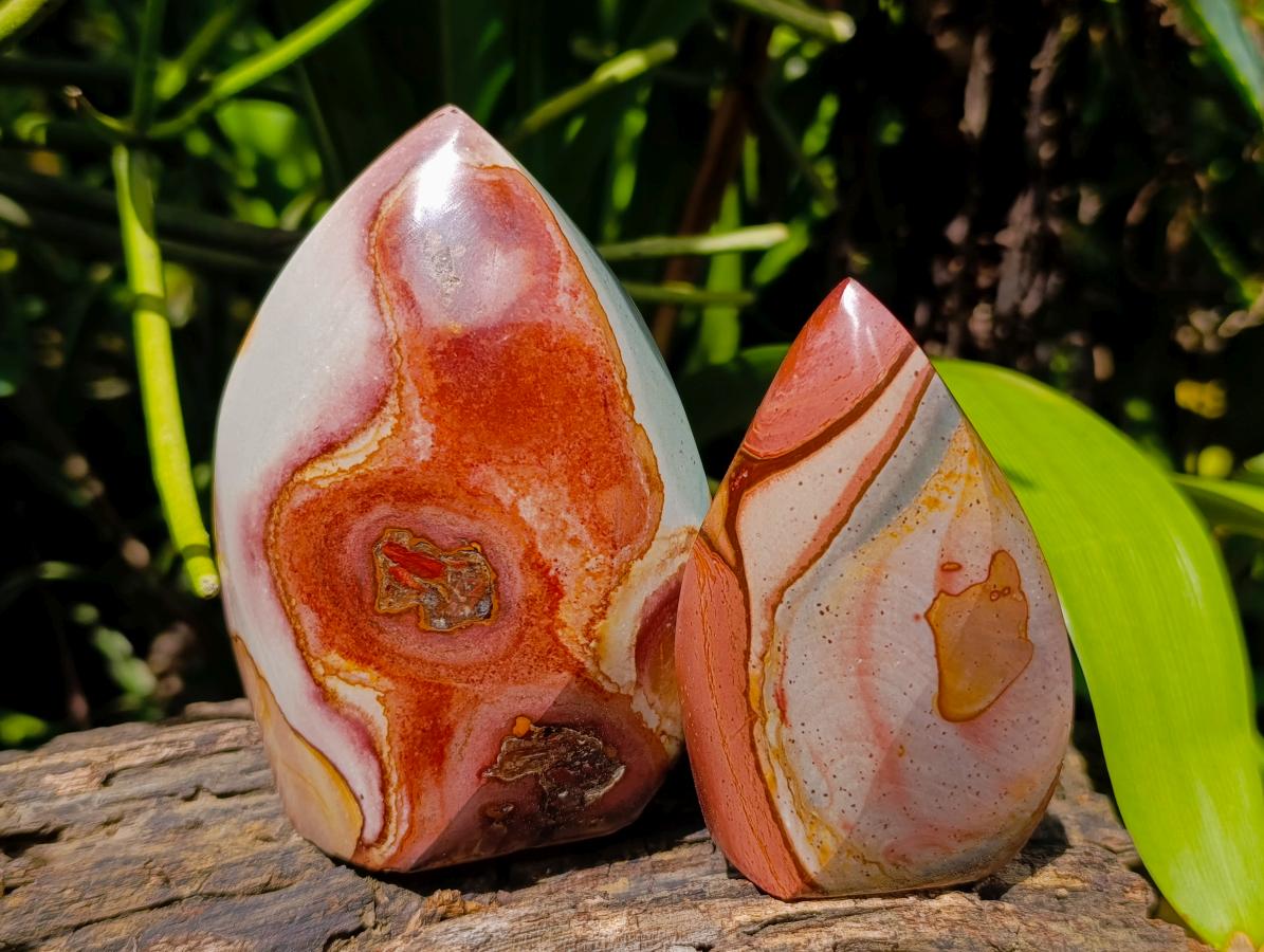 Polished Polychrome Jasper Flames x 6 From NW Coast, Madagascar