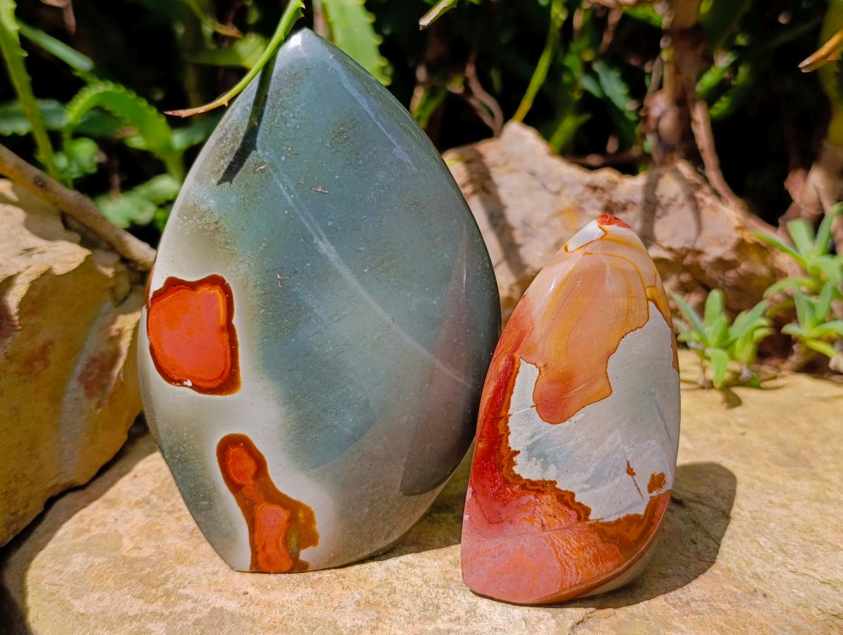Polished Polychrome Jasper Flames x 6 From NW Coast, Madagascar