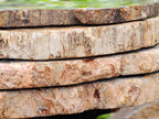 Polished Red Podocarpus Petrified Wood Slices x 4 From Mahajanga, Madagascar