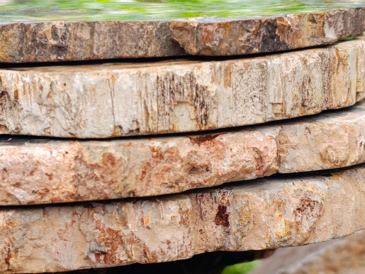 Polished Red Podocarpus Petrified Wood Slices x 4 From Mahajanga, Madagascar