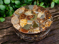 Hand Made Ammonite Conglomerate Coffee Table Coasters x 6 From Mahajanga, Madagascar