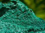 Natural Botryoidal Malachite Specimens x 4 From Congo