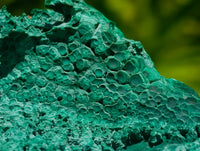 Natural Botryoidal Malachite Specimens x 4 From Congo