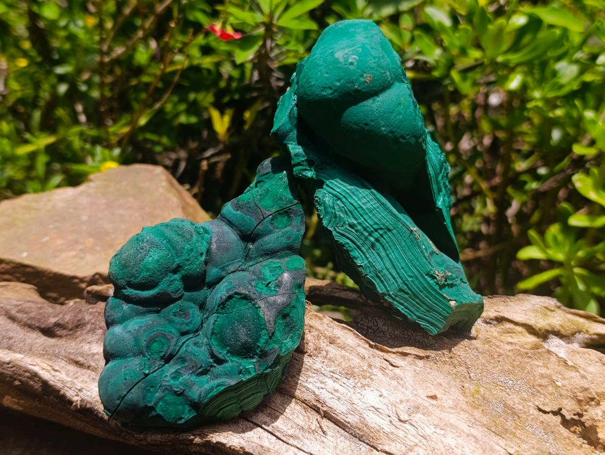 Natural Botryoidal Malachite Specimens x 4 From Congo