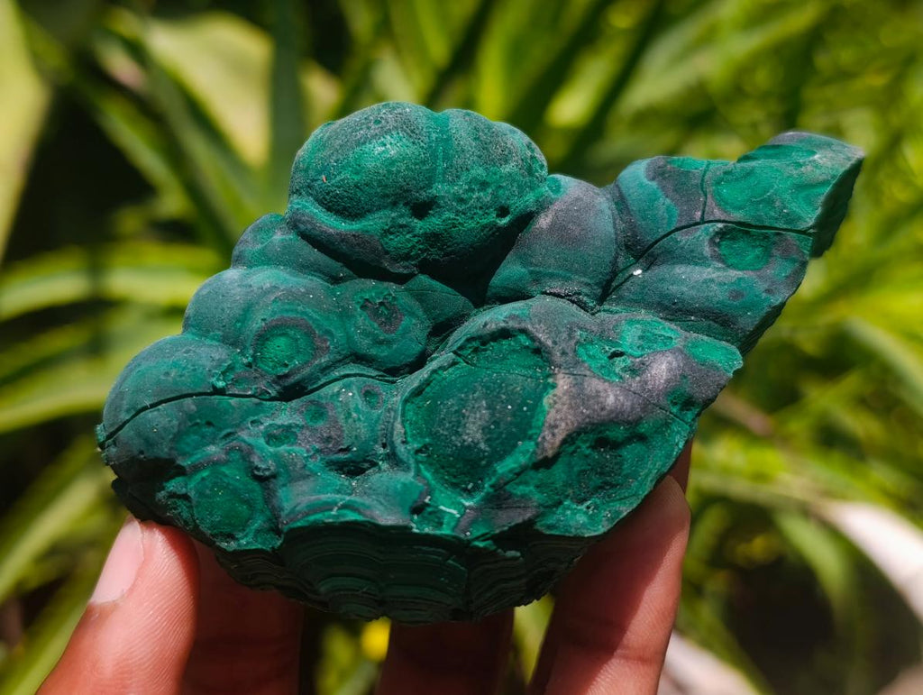 Natural Botryoidal Malachite Specimens x 4 From Congo