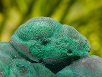 Natural Botryoidal Malachite Specimens x 4 From Congo