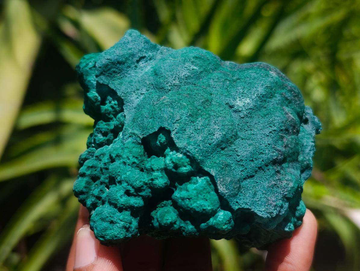 Natural Botryoidal Malachite Specimens x 4 From Congo