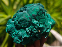 Natural Botryoidal Malachite Specimens x 4 From Congo