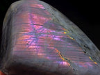 Polished Rare Purple Sunset Labradorite Standing Free Forms x 3 From Madagascar