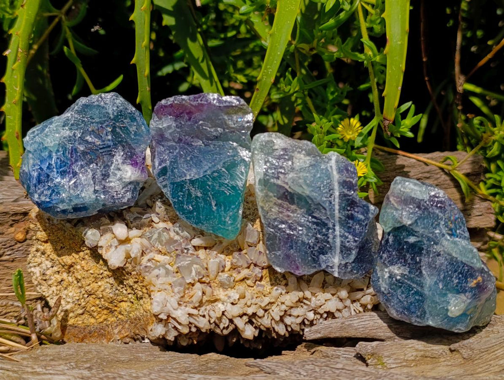 Natural Watermelon Fluorite Cobbed Specimens x 24 From Uis, Namibia