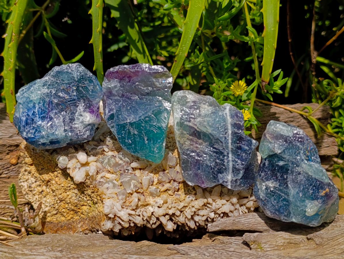 Natural Watermelon Fluorite Cobbed Specimens x 24 From Uis, Namibia