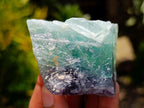 Natural Watermelon Fluorite Cobbed Specimens x 24 From Uis, Namibia
