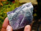 Natural Watermelon Fluorite Cobbed Specimens x 24 From Uis, Namibia