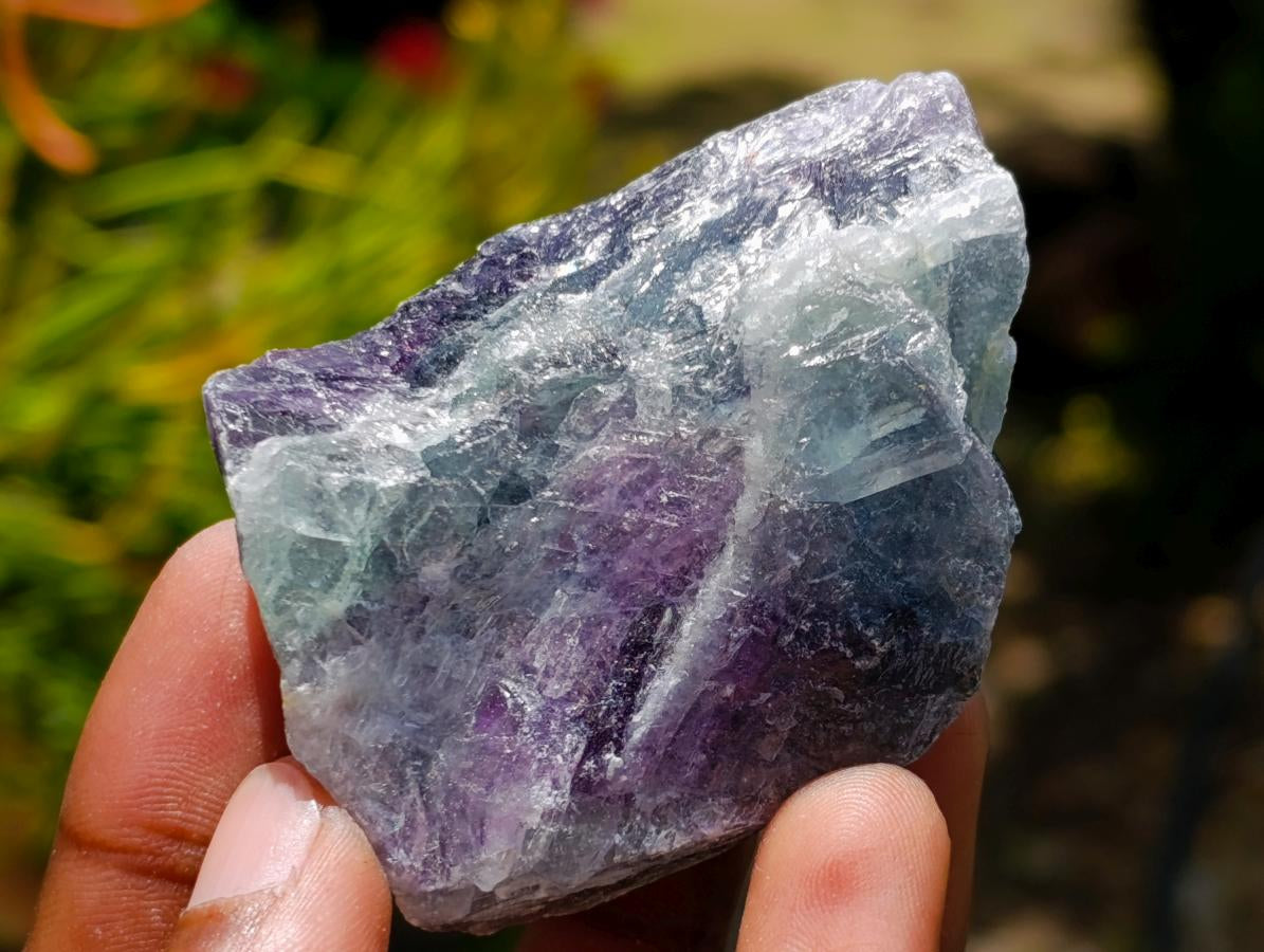 Natural Watermelon Fluorite Cobbed Specimens x 24 From Uis, Namibia
