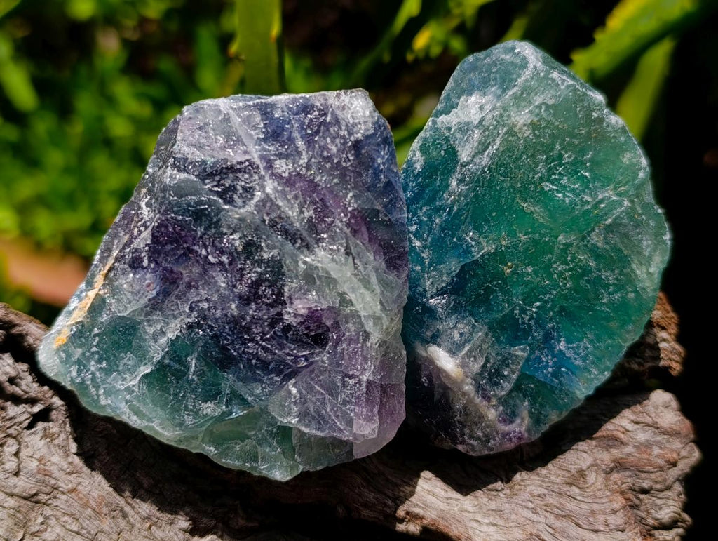 Natural Watermelon Fluorite Cobbed Specimens x 24 From Uis, Namibia