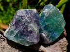 Natural Watermelon Fluorite Cobbed Specimens x 24 From Uis, Namibia