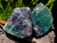 Natural Watermelon Fluorite Cobbed Specimens x 24 From Uis, Namibia
