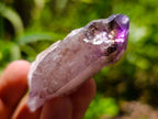 Natural Window Amethyst Crystals x 12 From Chiredzi, Zimbabwe