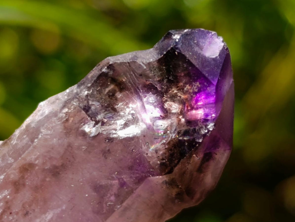 Natural Window Amethyst Crystals x 12 From Chiredzi, Zimbabwe