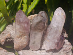 Natural Window Amethyst Crystals x 12 From Chiredzi, Zimbabwe