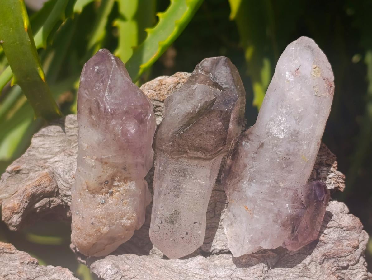 Natural Window Amethyst Crystals x 12 From Chiredzi, Zimbabwe