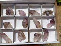 Natural Window Amethyst Crystals x 12 From Chiredzi, Zimbabwe