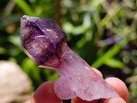 Natural Window Amethyst Crystals x 12 From Chiredzi, Zimbabwe