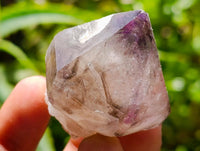Natural Window Amethyst Crystals x 12 From Chiredzi, Zimbabwe