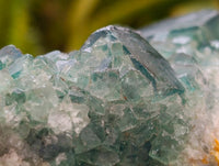 Natural XL Green Fluorite Cluster Specimens x 3 From Mandrosonoro, Madagascar