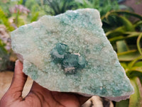 Natural XL Green Fluorite Cluster Specimens x 3 From Mandrosonoro, Madagascar