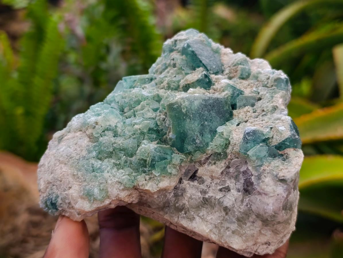 Natural XL Green Fluorite Cluster Specimens x 3 From Mandrosonoro, Madagascar