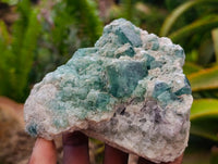 Natural XL Green Fluorite Cluster Specimens x 3 From Mandrosonoro, Madagascar